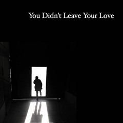 You Didn't Leave Your Love 7-1