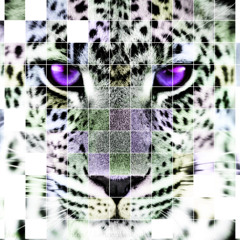 Glasskaar #DnB