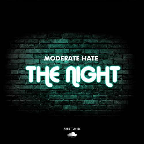 MODERATE HATE - The Night  (Original Mix)