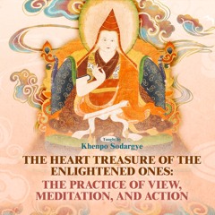 The Heart Treasure Of The Enlightened Ones：The Practice Of View, Meditation, And Action 04