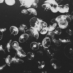 YOU WERE TELLING THE TRUTH