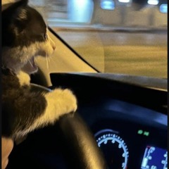 어쩌라고 세상아