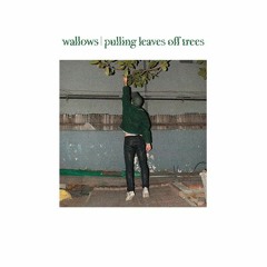 Pulling leaves off trees - Wallows (Cover)