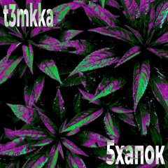 5хапок