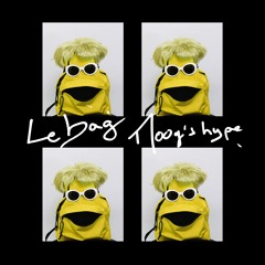 Le Bag - Moog's Hype