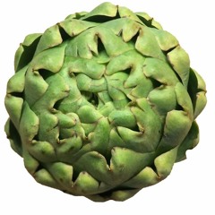 Shingles Virus Revealed