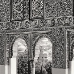 أبوحُ بشوقٍ سَرى في دمي..