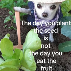 LDN TO LAX ft Vertcocet (Rockstargoose)