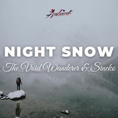 The Void Wanderer & Sineko - Night Snow