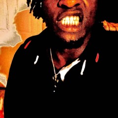 focusmode jameer amani