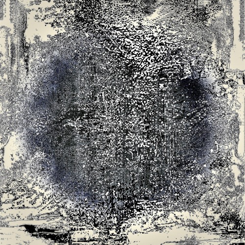 𝑷𝒓𝒆𝒎𝒊𝒆𝒓𝒆: Huong Federkeil - Bird Song