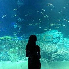 1.Merry Go Round (prod By. Heydium)