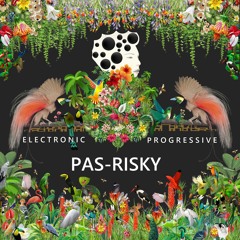 PAS - RISKY