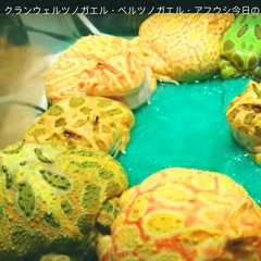 The Misjudgement (prod. Nosebleed)