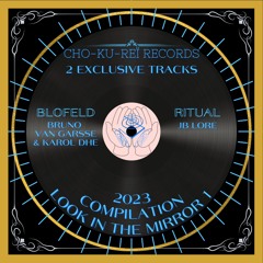Look in The Mirror 1 compilation 2023 {Cho-Ku-Reï Records} CKR030
