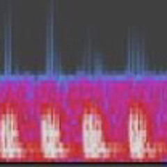 OHM - 36- 240805_deep_huffing_very_low_frequency_vocalization.MP3