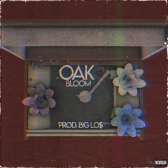BLOOM (Prod. Big Lo$)