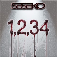 1,2,3,4 - SESEKO