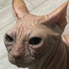 izyum