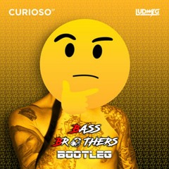 LUDWIG - CURIOSO (BASSBROTHERS BOOTLEG)(Download in Description)