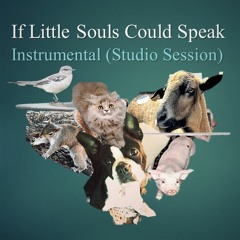 IF LITTLE SOULS COULD SPEAK (Studio Session Instrumental ~ Take 2) ~ free download