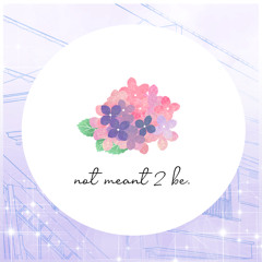 not meant 2 be (ft. Shelby)