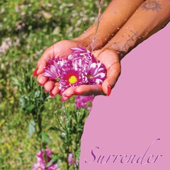 Surrender Saunrchle X Shawnmoett