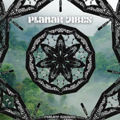 Philipp Bardez - Planar Vibes