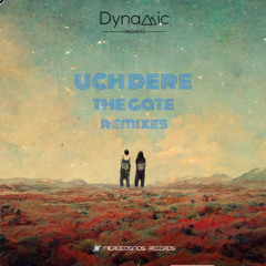 Dynamic Dreamers - Uch Dere (dj shaman & Mawru Remix)