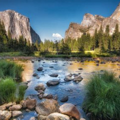 Review Special Price Private Tour To Yosemite National Park From San Francisco