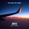 Скачать видео: B I S - Through The Night