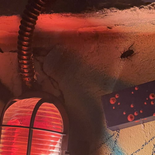 01 REC - 2025 - 01 - 02 aka kradez mix