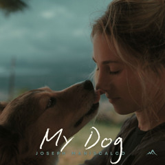 My Dog