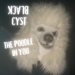 Black CyST - The Poodle in You