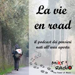 Puntata 10 - La Via Francigena (seconda parte)