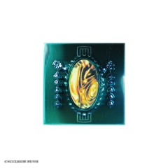 PREMIERE : Excelsior Ruth - Dream Of You