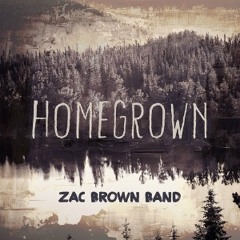 Homegrown - Zac Brown Band (MMIZZ Remix)