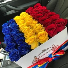 𝓜𝓪𝓷𝓮𝓵𝓮 🇷🇴🖤