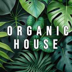 Organic House Mix 2024 I Sunset Mix I Underground music Vibes