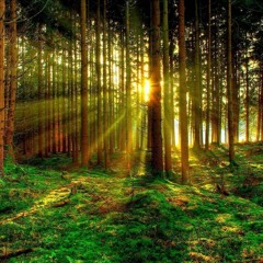 Dassié - A New Beginning (Autumn Day Mix)