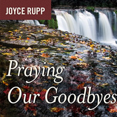 Read EPUB 🗂️ Praying Our Goodbyes by  Joyce Rupp &  Sherry Kennedy Brownrigg [EPUB K