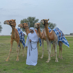 - العاصمة | مسفر السندوانه -