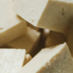 tofu_211119