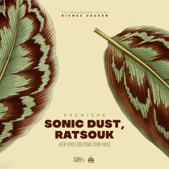 PREMIERE: Sonic Dust, Ratsouk - Her Eyes (Betoko Dub Mix) [Natura Viva]