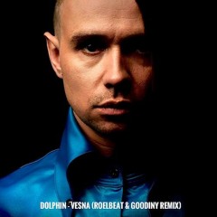 Dolphin - Vesna (RoelBeat & Goodiny Remix)_Radio Edit