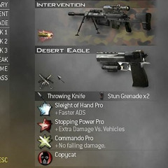 THE ELECTRIC EXPERIENCE (REMIX)