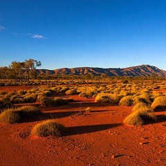 Itlara Ntha🇧🇪Tunu 2ø2¹