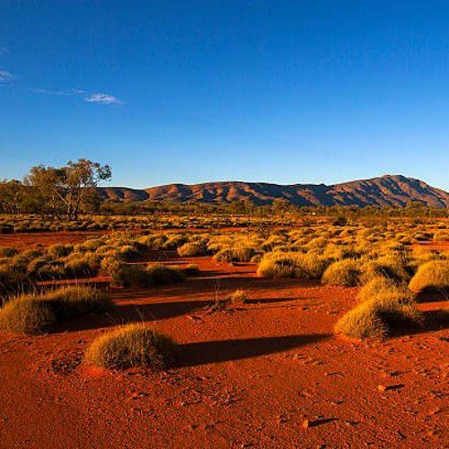 Itlara Ntha🇧🇪Tunu 2ø2¹