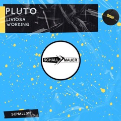 Working (Original Mix) [Schallmauer]