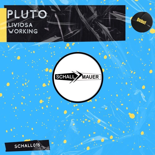 Working (Original Mix) [Schallmauer]